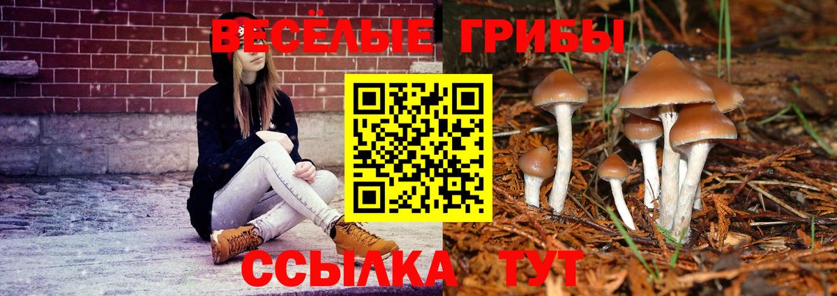 Старая Купавна  Псилоцибиновые грибы мицелий  Вход с VPN 